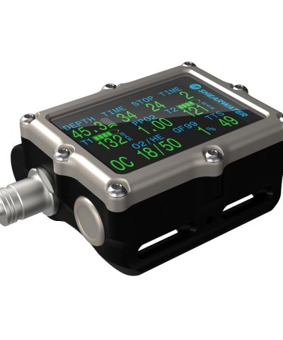 Alternative view of Shearwater Petrel 3 Fischer